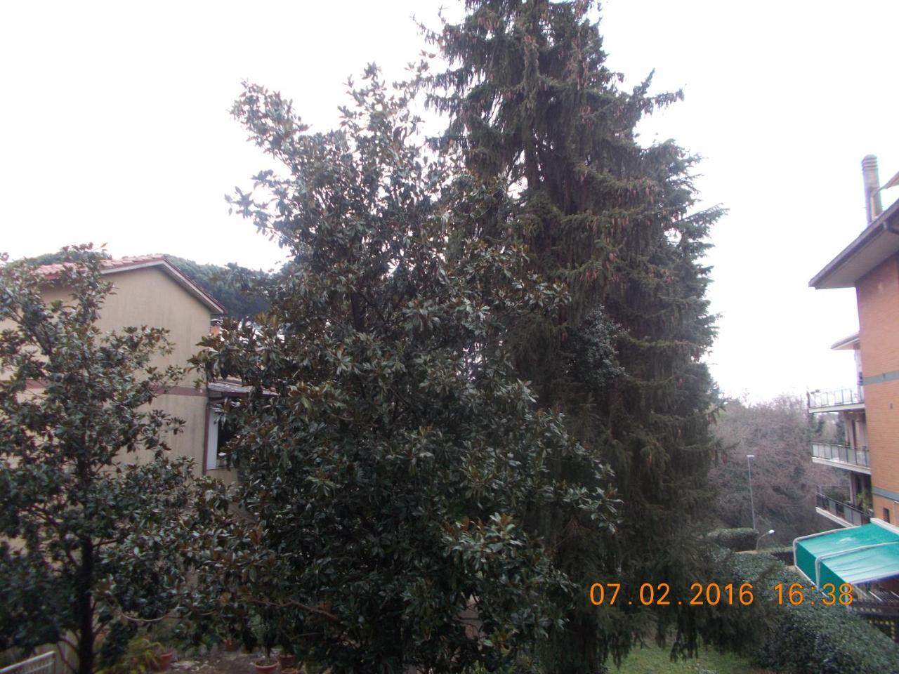 Appartamento I Cedri San Cesareo Exterior photo